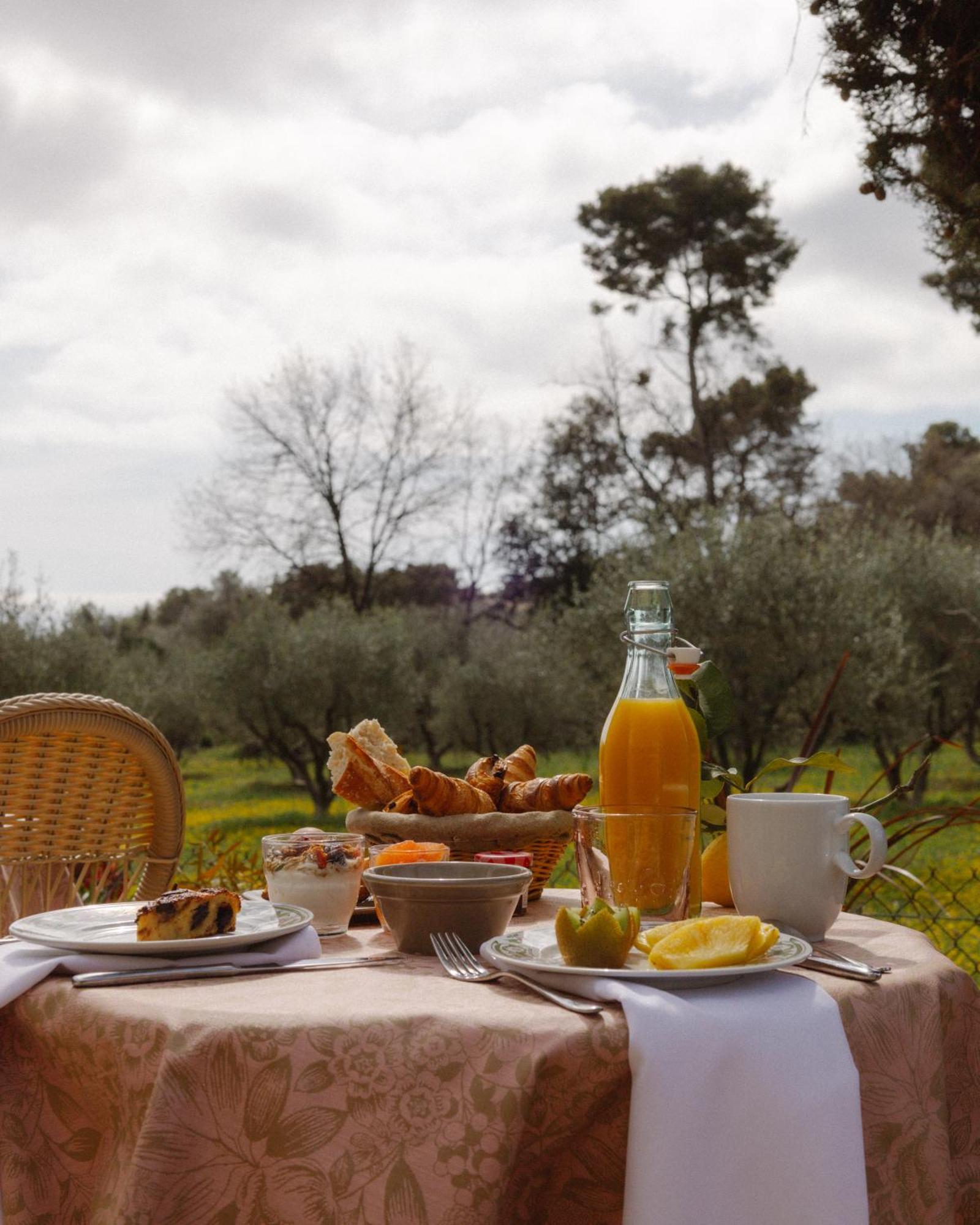 Hotel Les Messugues Σαιν-Πολ-ντε-Βανς Εξωτερικό φωτογραφία