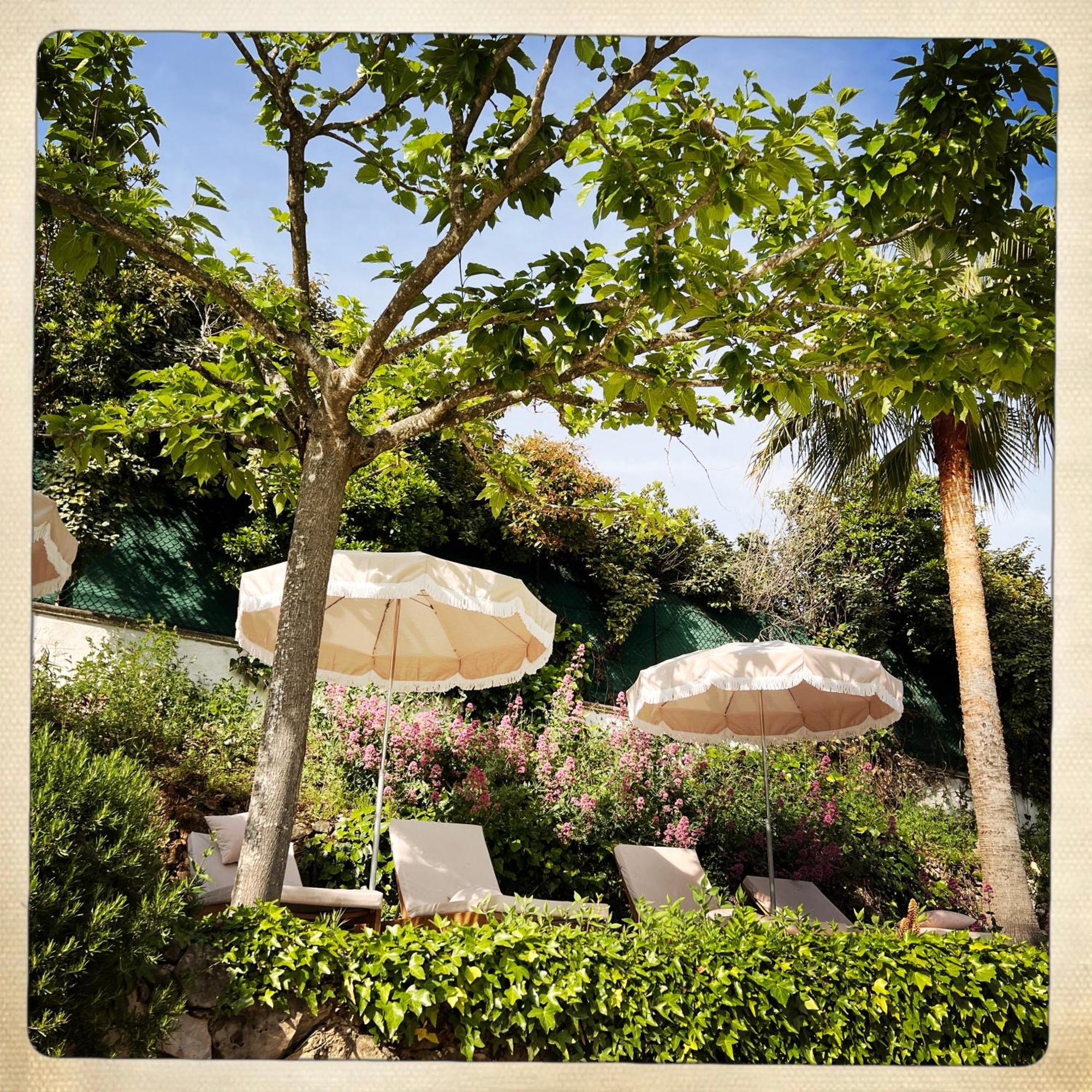 Hotel Les Messugues Σαιν-Πολ-ντε-Βανς Εξωτερικό φωτογραφία